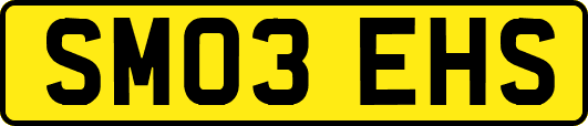 SM03EHS
