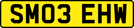 SM03EHW