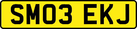 SM03EKJ