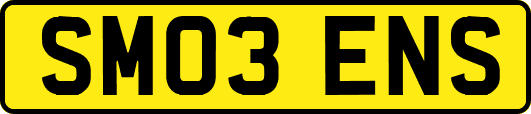 SM03ENS