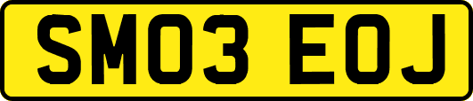 SM03EOJ