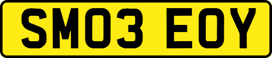 SM03EOY