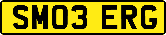 SM03ERG