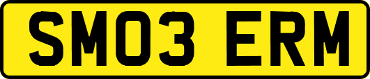 SM03ERM