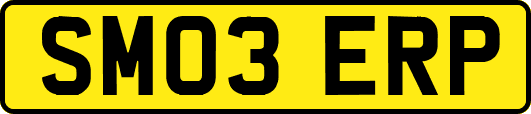 SM03ERP