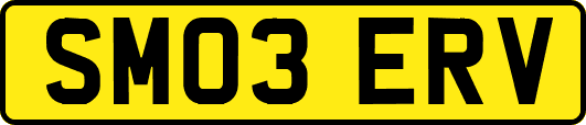 SM03ERV