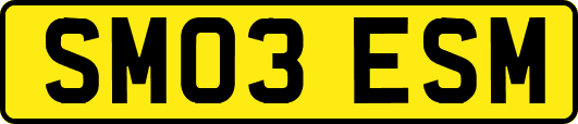 SM03ESM