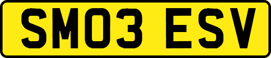 SM03ESV