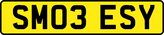 SM03ESY