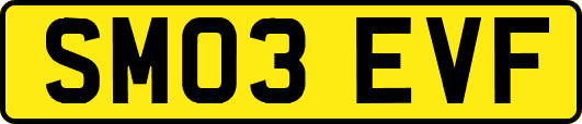 SM03EVF