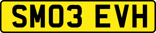 SM03EVH