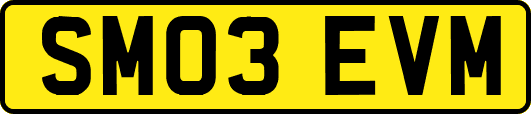 SM03EVM