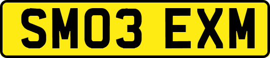SM03EXM