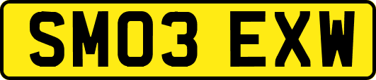SM03EXW