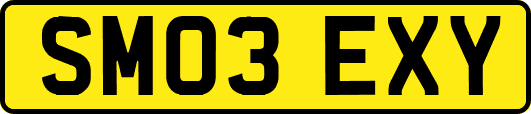 SM03EXY