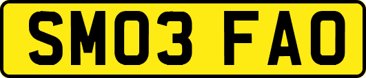 SM03FAO