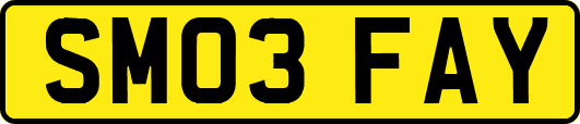 SM03FAY