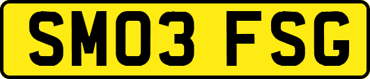 SM03FSG