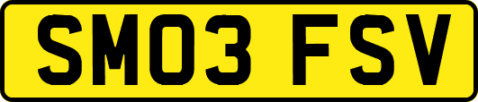 SM03FSV
