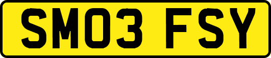 SM03FSY