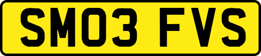 SM03FVS