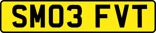 SM03FVT