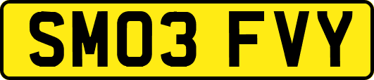 SM03FVY