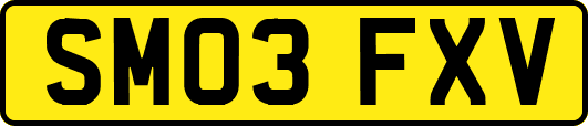 SM03FXV