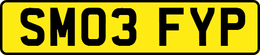 SM03FYP