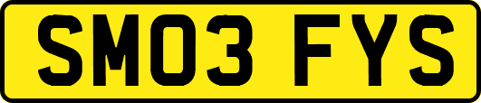 SM03FYS
