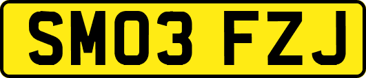 SM03FZJ