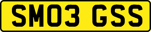 SM03GSS