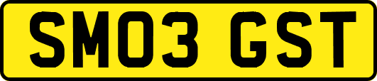 SM03GST