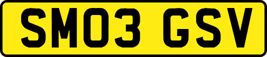 SM03GSV