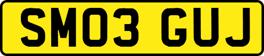 SM03GUJ