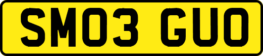 SM03GUO