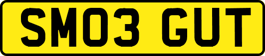 SM03GUT