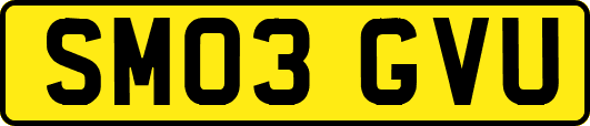 SM03GVU