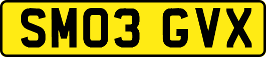 SM03GVX