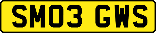 SM03GWS