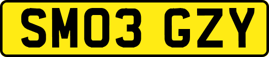 SM03GZY