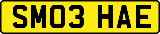 SM03HAE