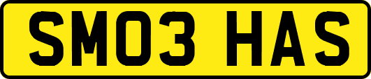 SM03HAS