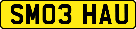 SM03HAU
