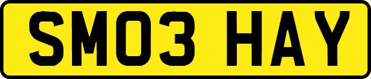 SM03HAY