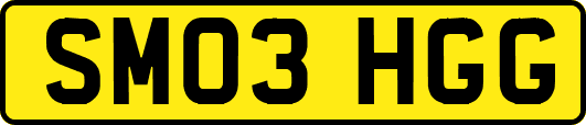 SM03HGG