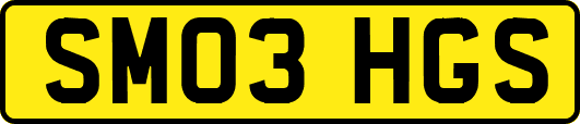SM03HGS