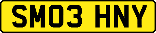 SM03HNY