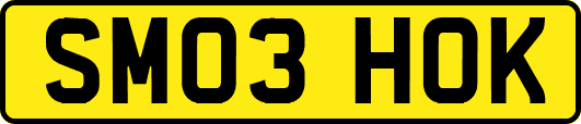 SM03HOK