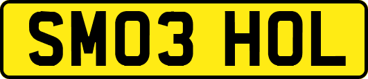 SM03HOL